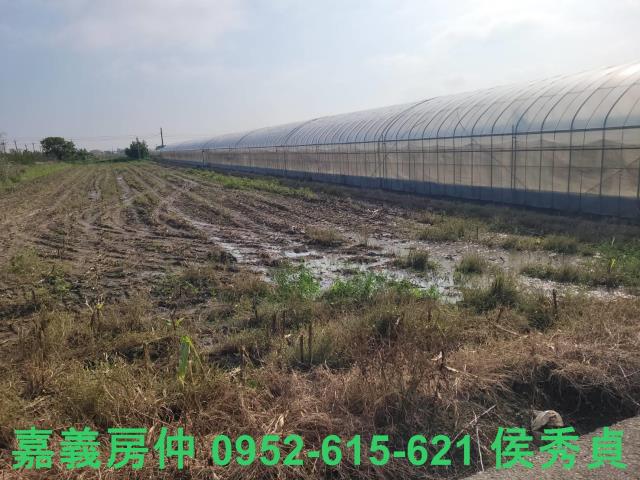 太保建地-6