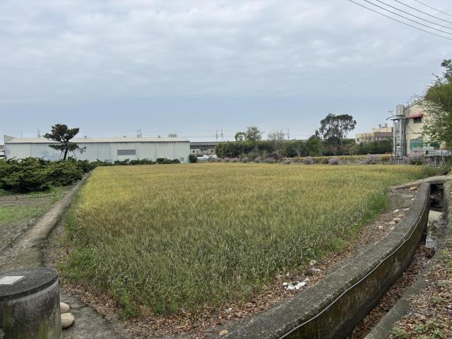 台中大雅農地-6