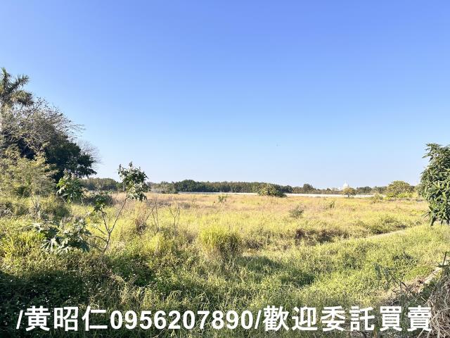 仁德農地-1