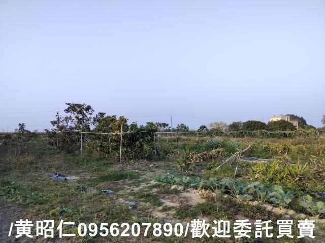 佳里農地-13