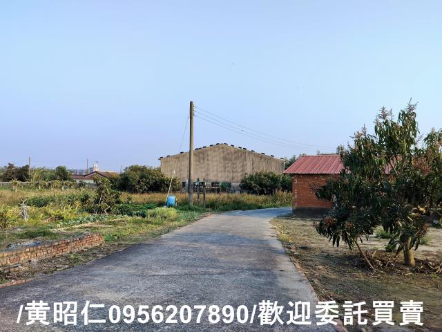 佳里農地-14
