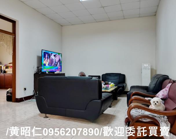 佳里農地-3