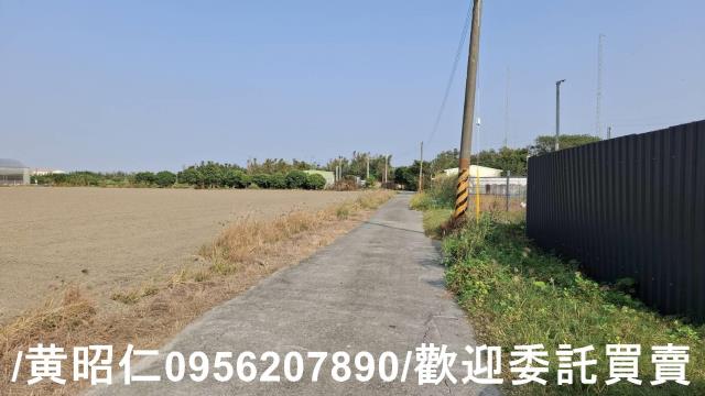 佳里農地-10