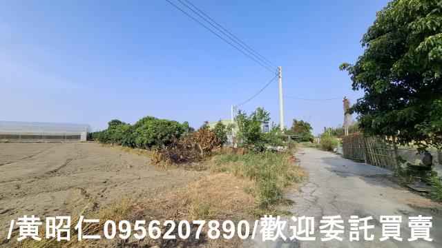 佳里農地-2