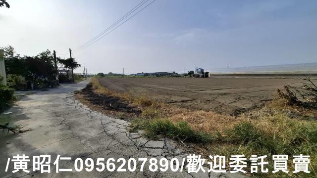 佳里農地-6