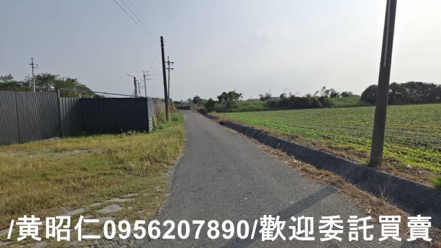 佳里農地-9