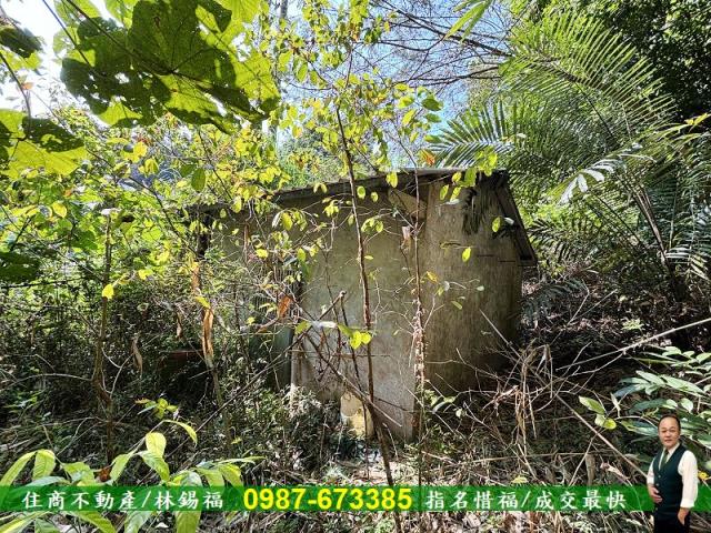 台南左鎮農地-10