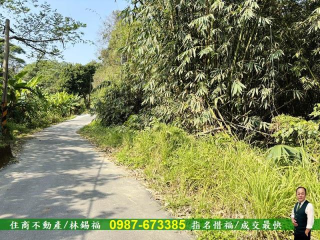 台南左鎮農地-6