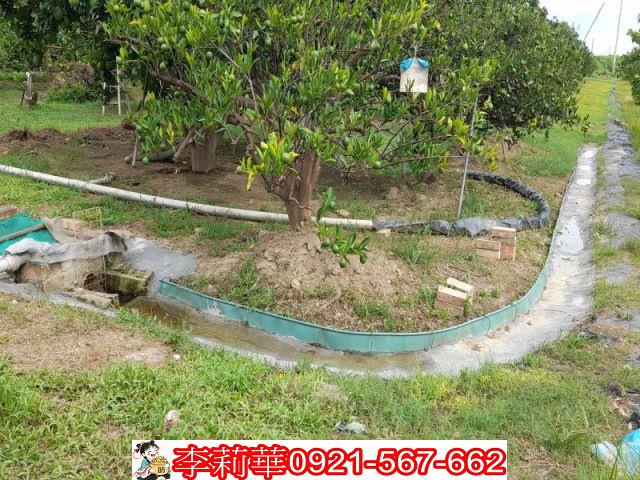 台南麻豆農地-11