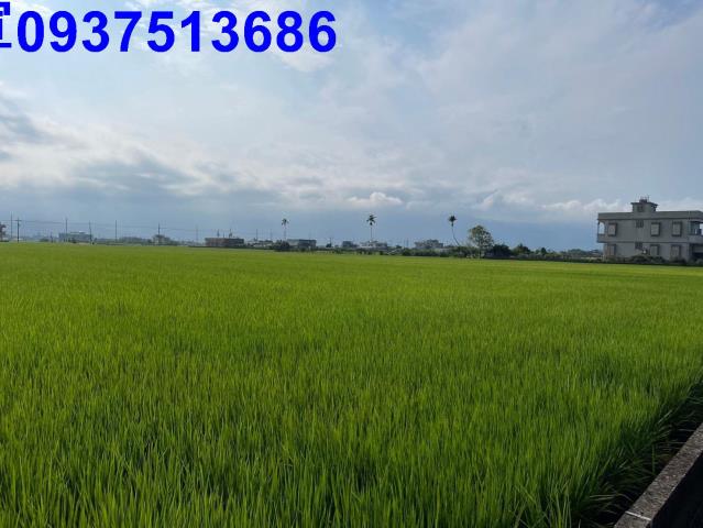 宜蘭壯圍農地-3