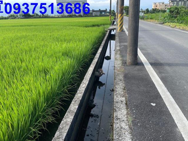 宜蘭壯圍農地-6
