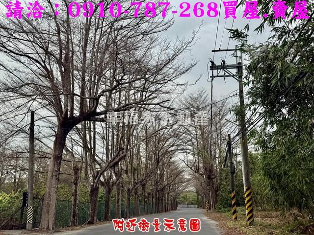 歸仁農地-11