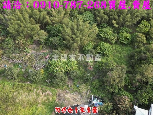 歸仁農地-6