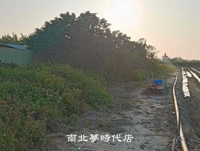 佳里農地-7