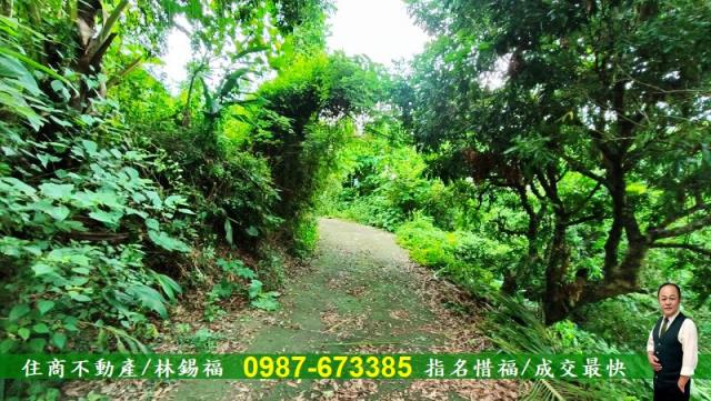 台南農地-3