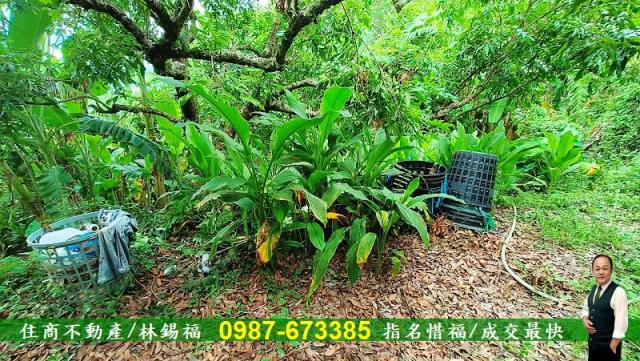 台南農地-4