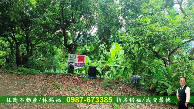 台南農地-6