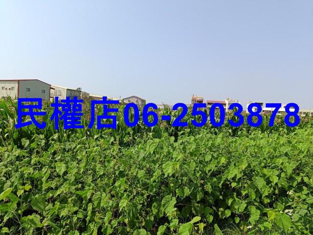 台南新營農地-3