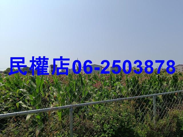 台南新營農地-7