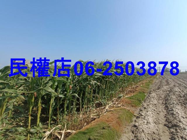 台南學甲農地-2