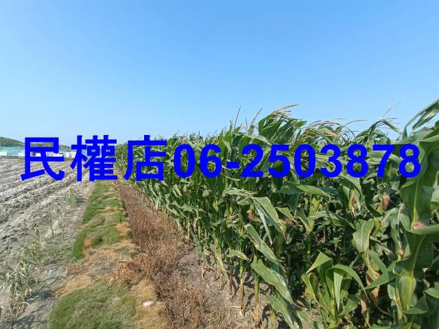 台南學甲農地-3