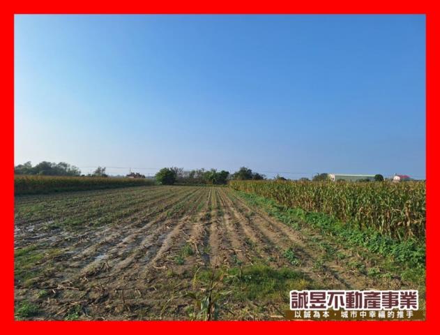 台南學甲農地-1