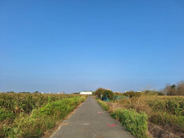 台南學甲農地-2