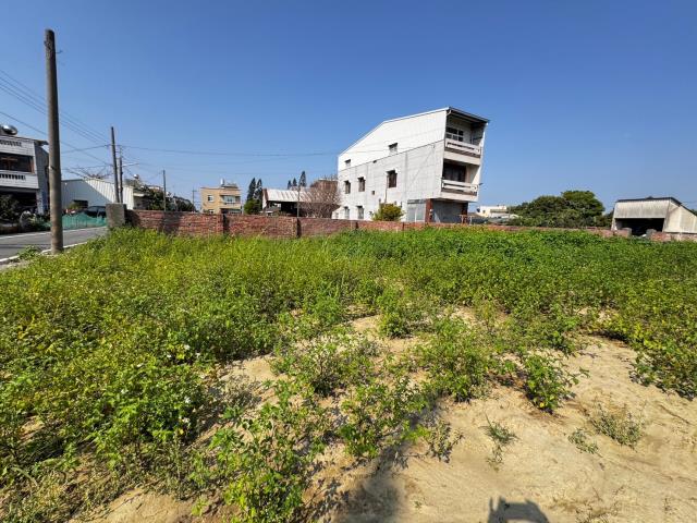 民雄農地-1