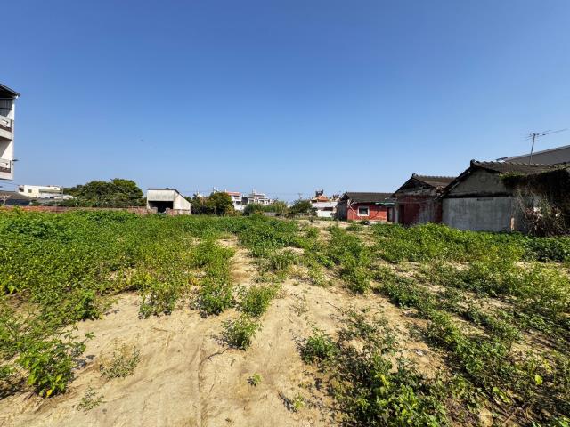 民雄農地-6
