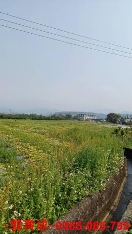 嘉義中埔農地-5