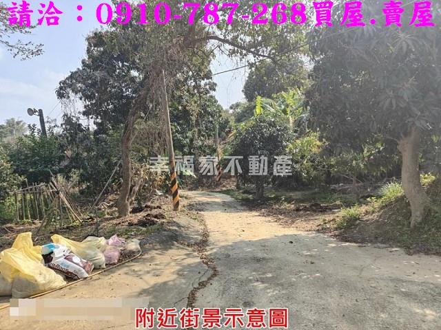 玉井農地-10
