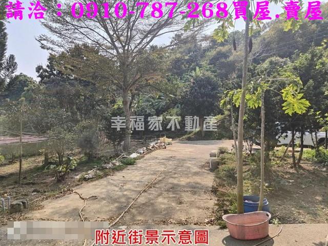 玉井農地-14