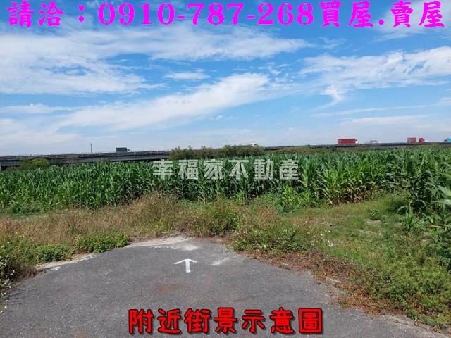 新市農地-4
