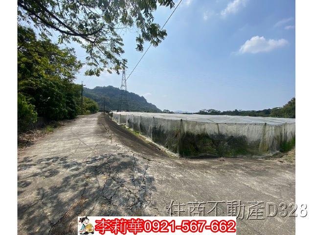 玉井農地-6