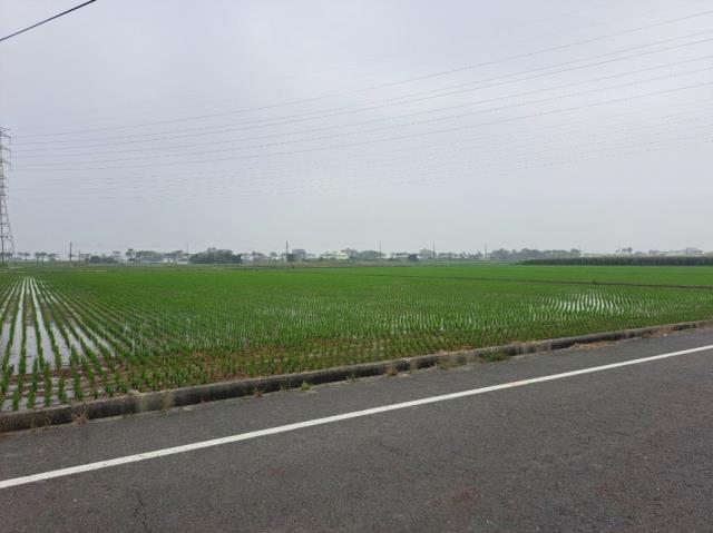 台南六甲農地-4