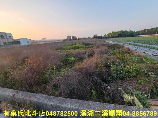 田尾農地-1