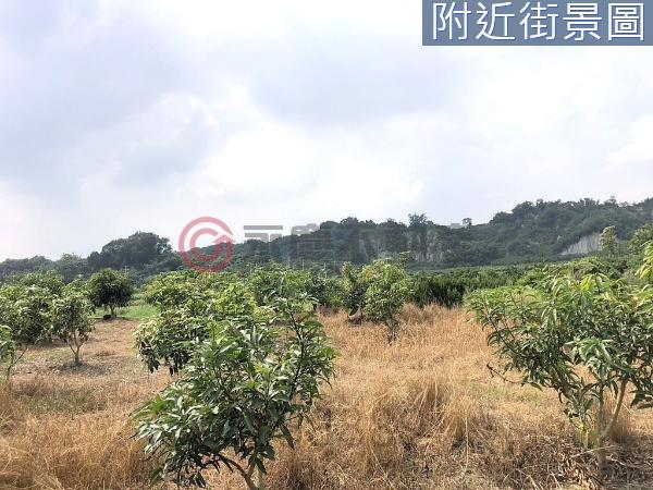 左鎮農地-2