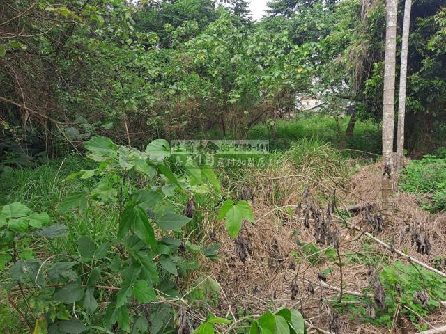 嘉義西區農地-3