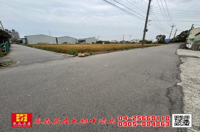 台中大雅農地-1