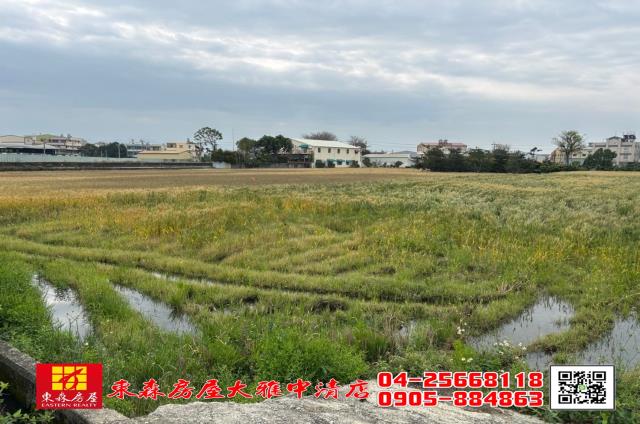 台中大雅農地-2