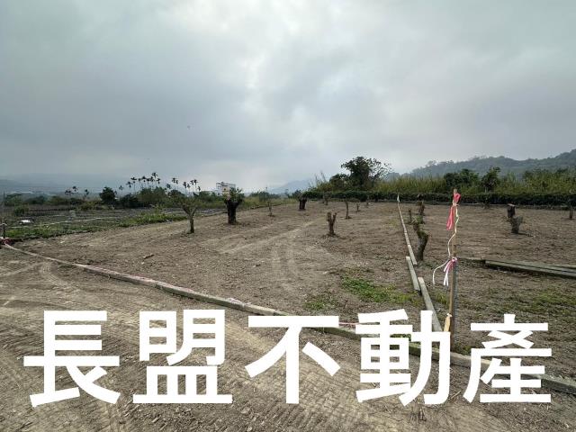 台中東勢農地-3