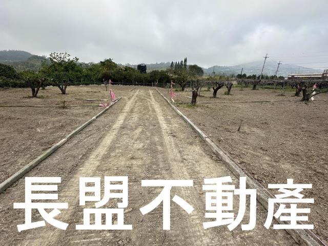 台中東勢農地-5
