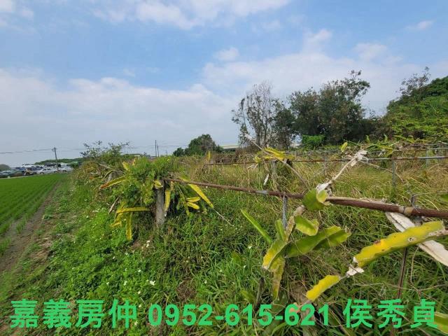 西區建地-3