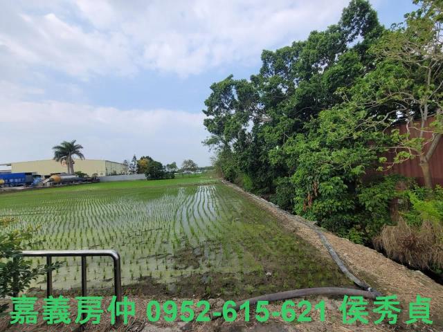 西區建地-5