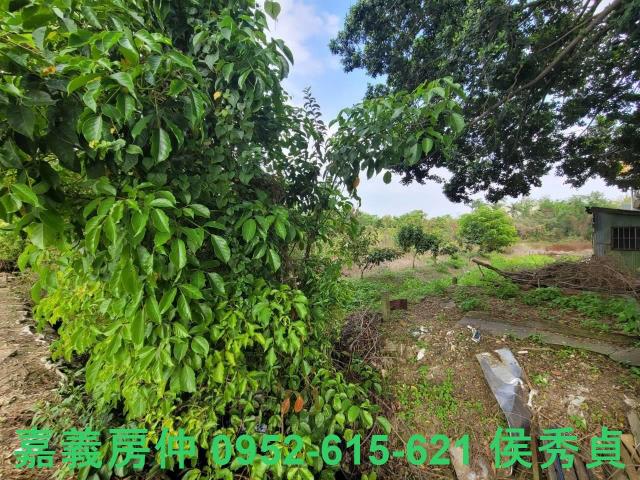 西區建地-8