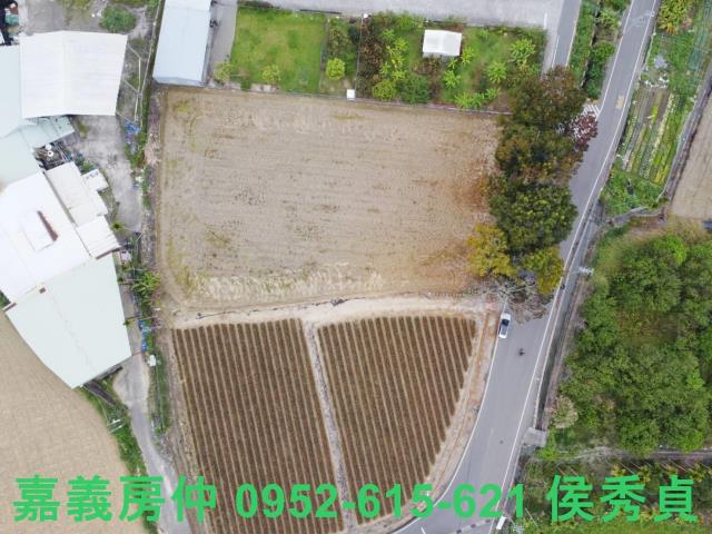 中埔農地-9