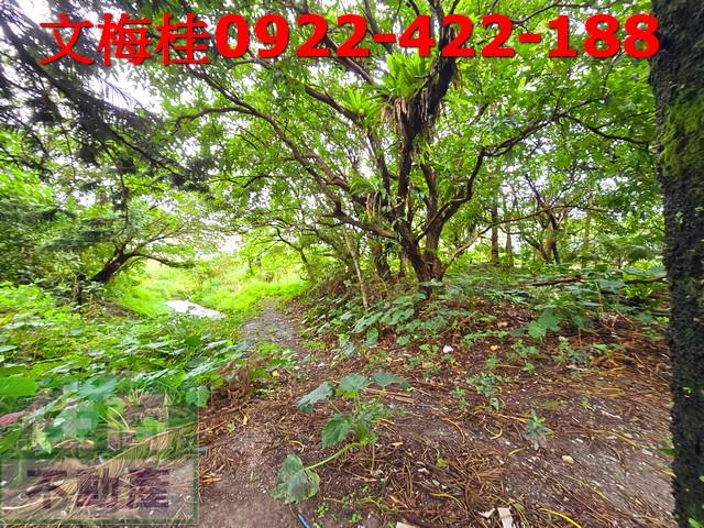 宜蘭頭城建地-1