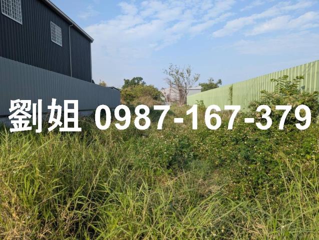 大寮農地-2
