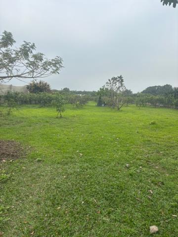大內農地-2
