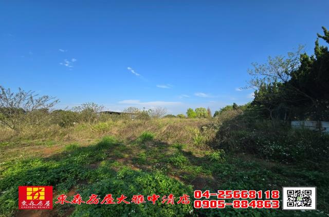 沙鹿農地-5